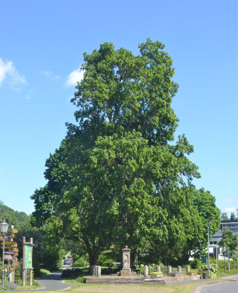 Am Brunnen vor dem Tore